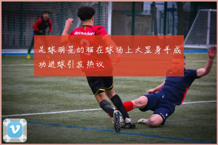 足球明星的猫在球场上大显身手成功进球引发热议