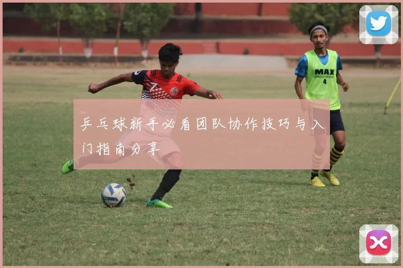 乒乓球新手必看团队协作技巧与入门指南分享