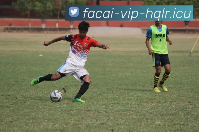 乐鱼体育APP 封面图